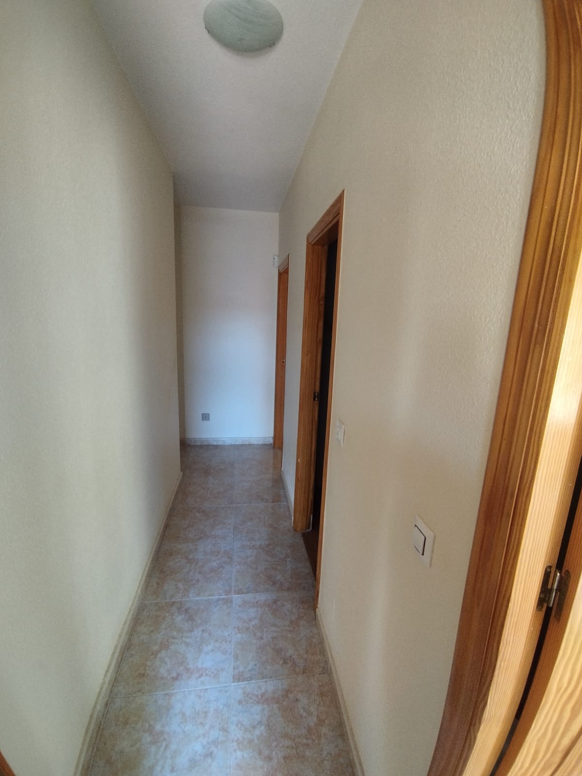 50054_cll marco aurelio  (7).jpeg